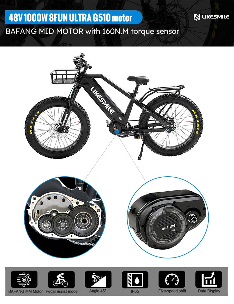 Electric Bike 48V 1000W Electric Dirt Bike Electric Bicycle Maxxis 26''&times; 4.8'' Tyre