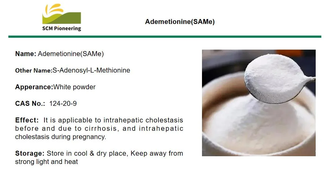 Matières premières pharmaceutiques Médecine cirrhotiques S-adénosyl-L-Methionone /adénosylméthionine même 97540-22-2