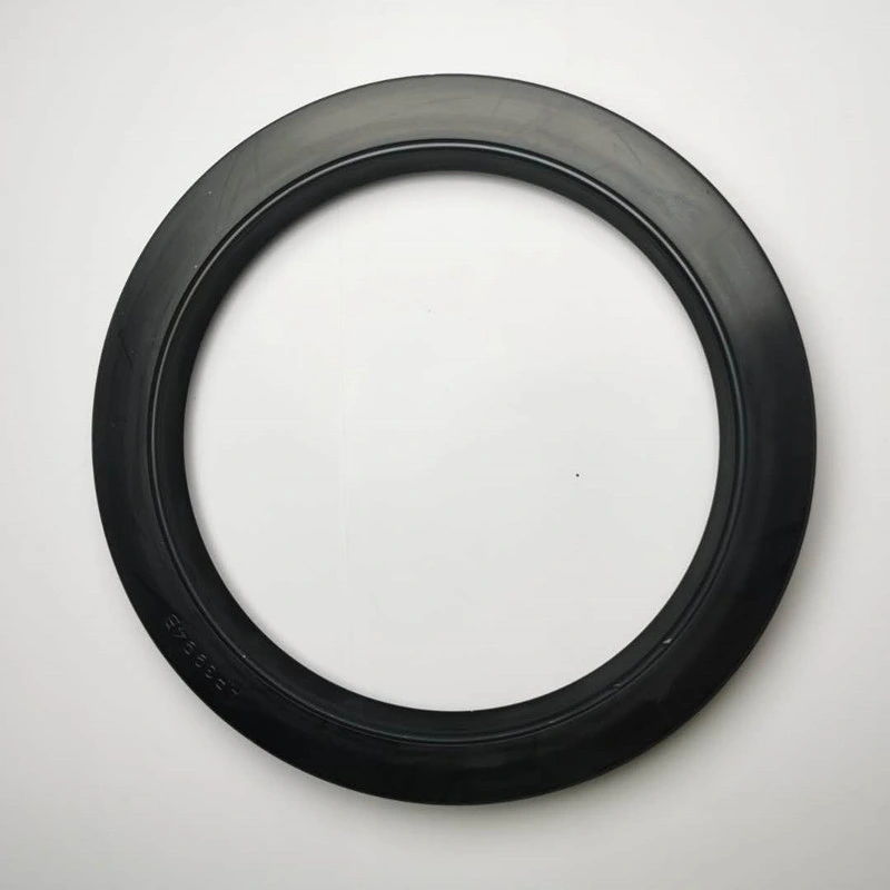 Tc Oil Seal NBR 570*620*22 Auto Parts Silicone FKM PTFE