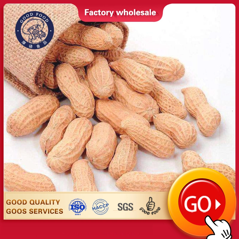 Ex-Factory Price Import Prices of Raw Peanut in Shell in China