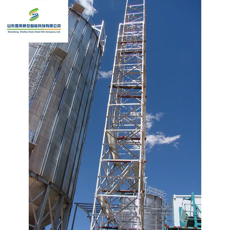 Shelley High Moisture Corn Silo China Steel Feed Tower Silo Suppliers Bolted Assembly Steel Sheet Grain Storage Paddy Rice Silo Hopper Bottom Silo