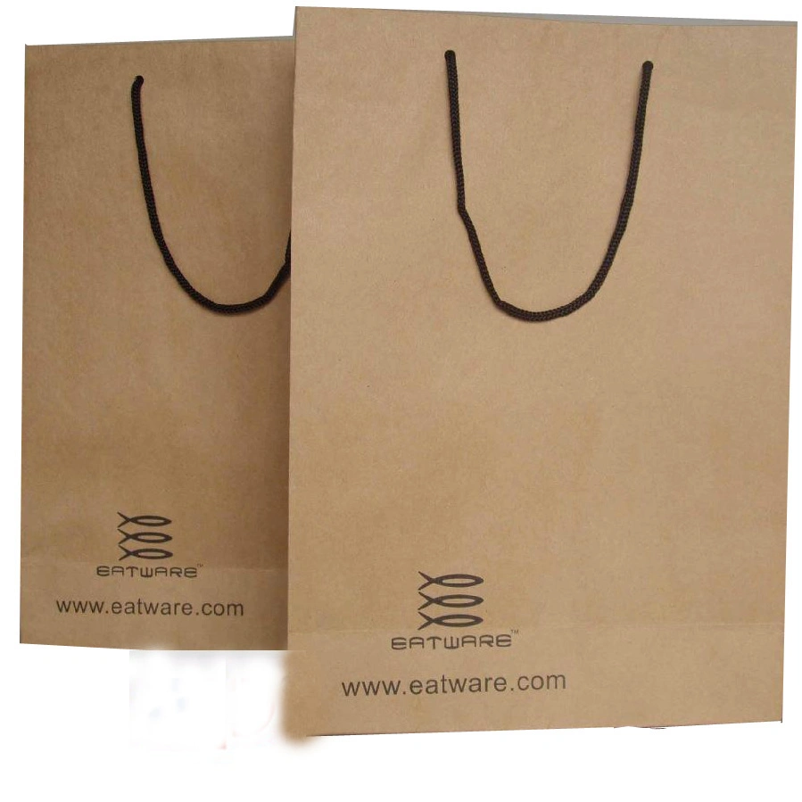 Low Cost Custom Brown Color Regular Kraft Paper Bag for Double Wine Packaging