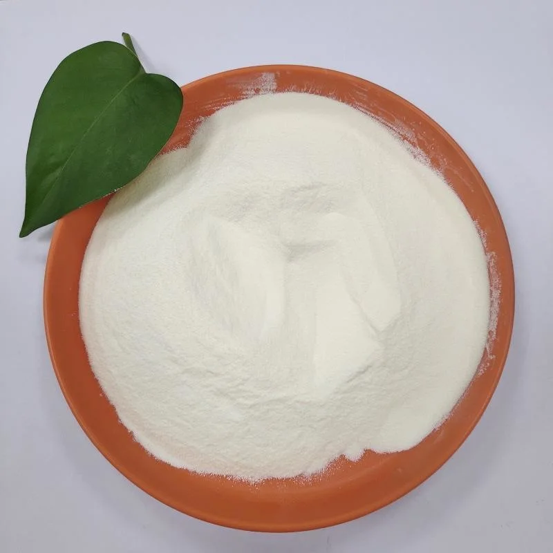 Hot Sale Soy Protein Isolate Powder CAS 9010-10-0