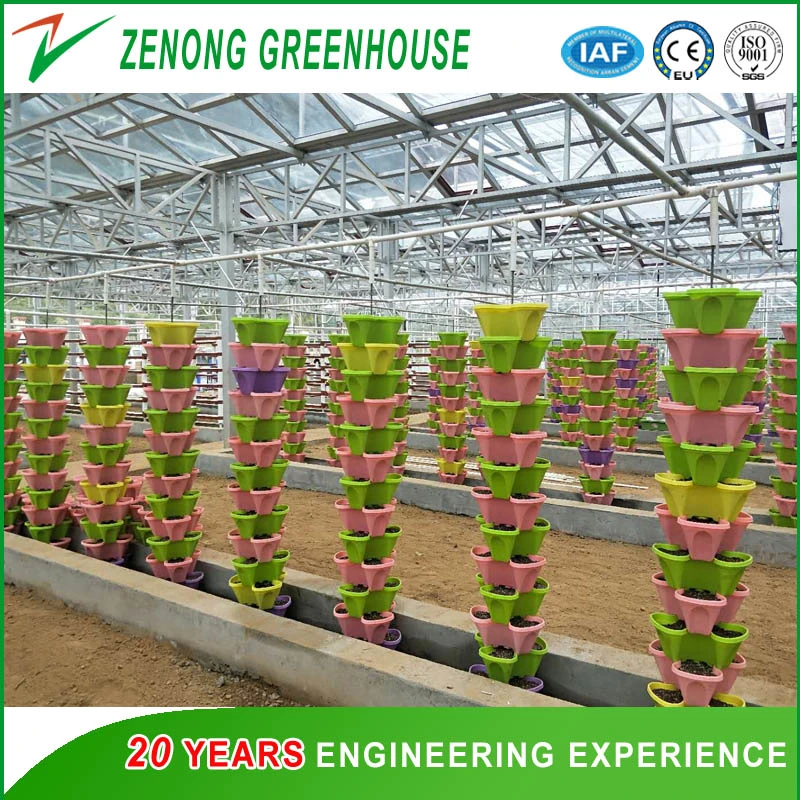 Intelligent Automatic Greenhouse Glass Greenhouse for Seedling Nursery/Eco Restaurant/Vegetable Fair