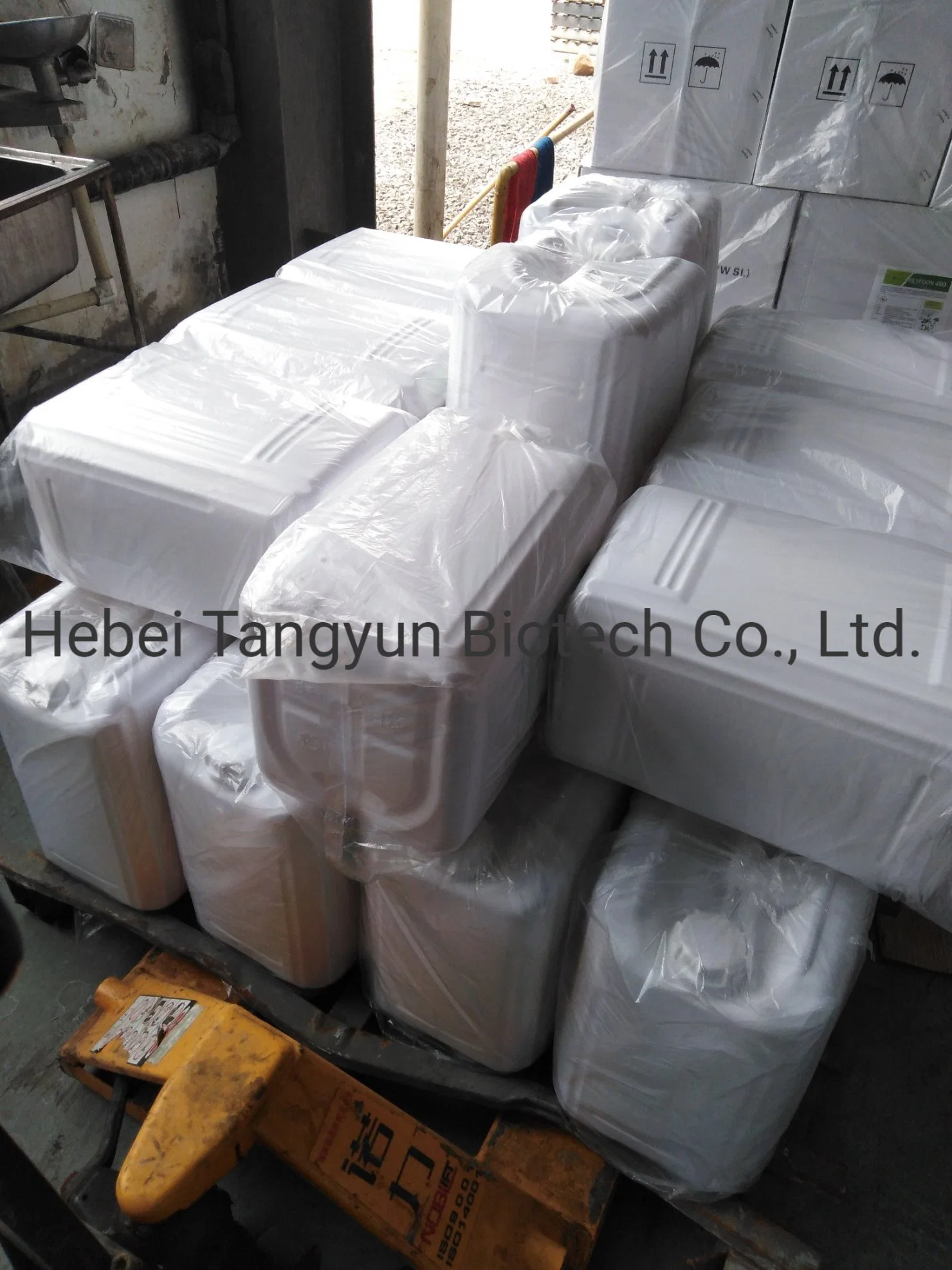 Matrine 0.6%SL Plant Extracts Insecticide Matrine Manufacturer Biological Pesticide