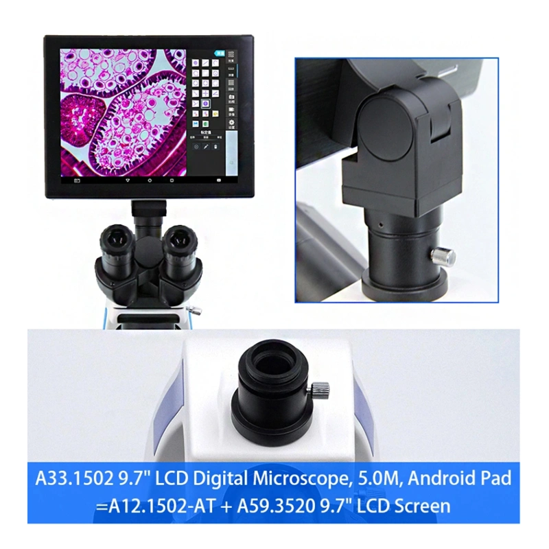 A33.1502 Professional Video LCD Digital Display Lab Microscope