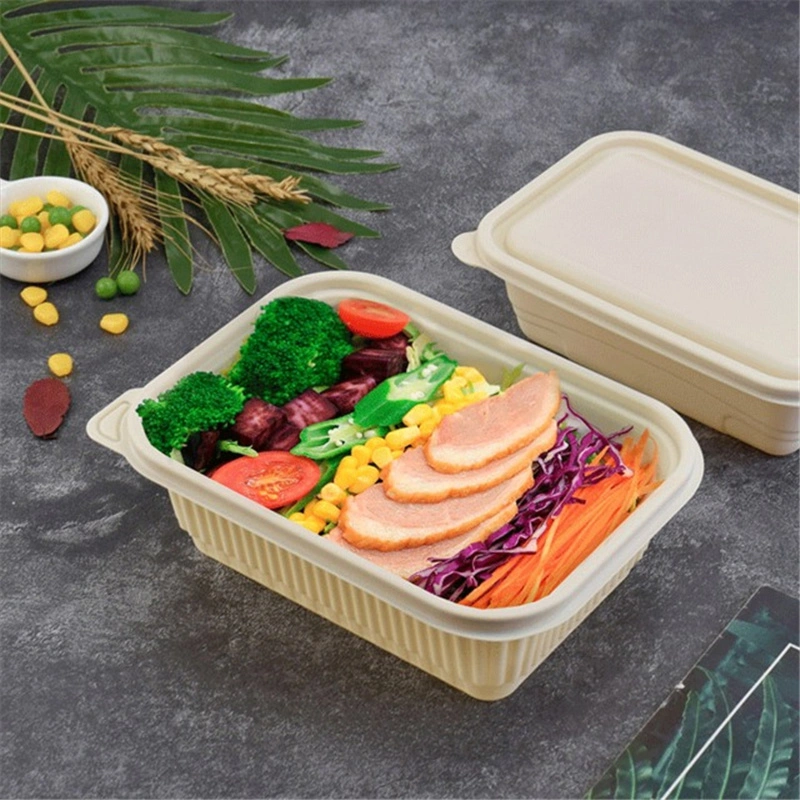 Dispos Lunch Gift Packaging for Biodegradable Bamboo to Carry Food Box