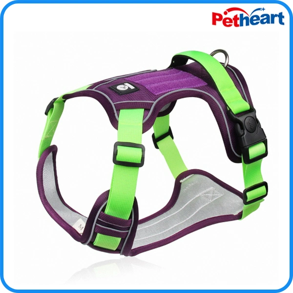 Amazon Hot Sale Pet Dog Vest with Leash