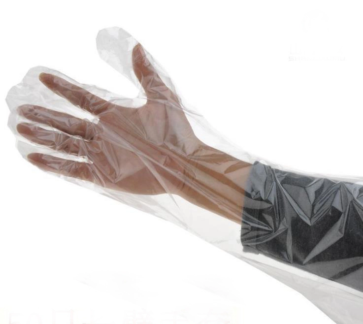 Extra Long Disposable PE Plastic Gloves Polythene Gloves