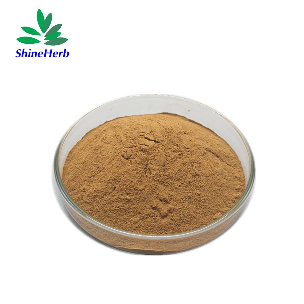 Factory Natural Turnjujube Hovenia Dulcis Thunb Hovenia Dulcis Extract Powder