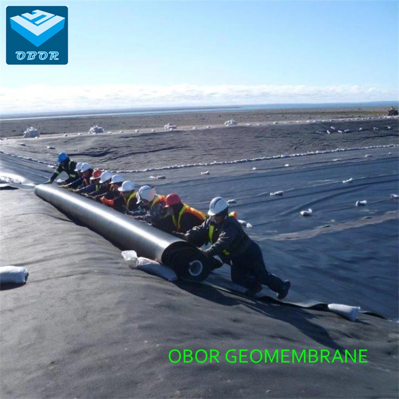 ASTM Gri GM13 Standard HDPE Geomembrane for Aquaculture Project