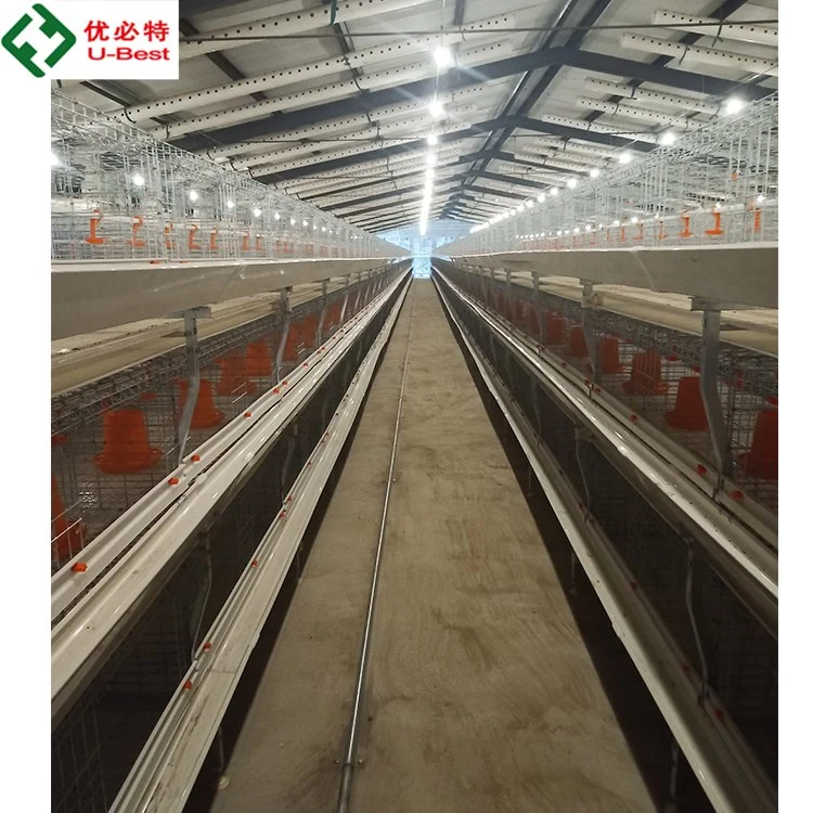 Automatic Feeding and Drinking Chicken Farm Cage for Broiler