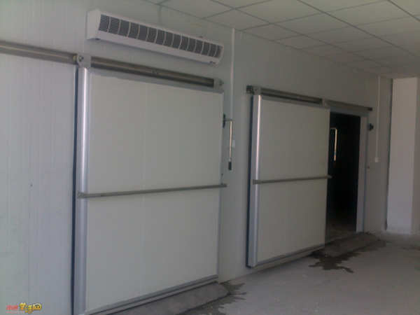 Professional Low Temperature Industrial Freezer Room Cold Storage