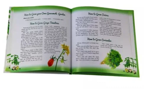 Learn Vegetables Hardcover Book Printing High quality/High cost performance  Hardbook