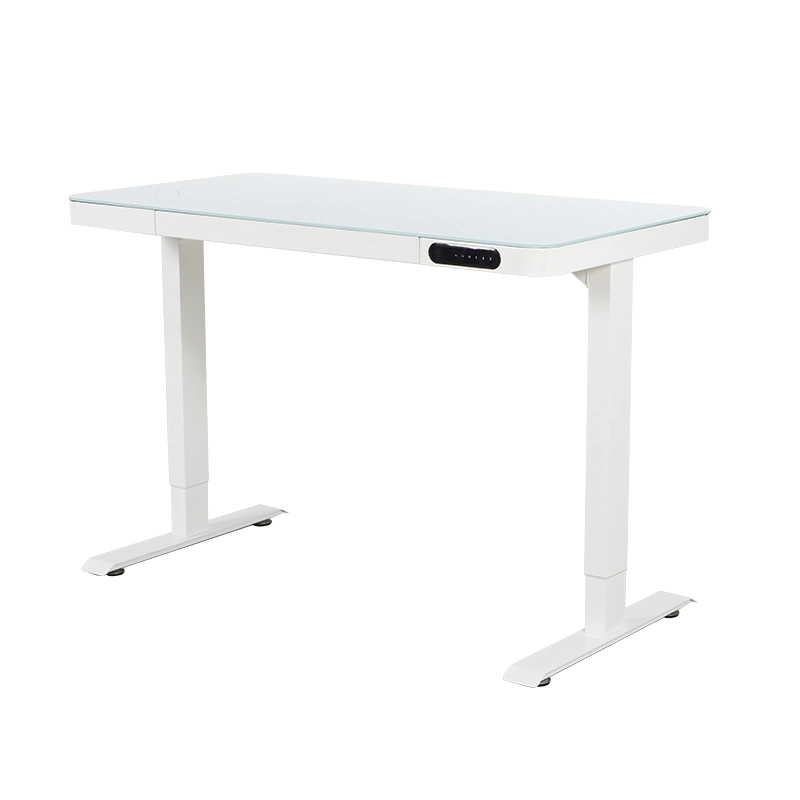 Metal New Nate China Sit Computer Stand up Desk Nt33-E4