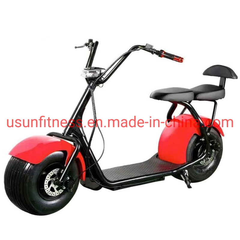 Moto Fat tire Electric Bicycle avec 60 V 12 Ah Batterie au lithium