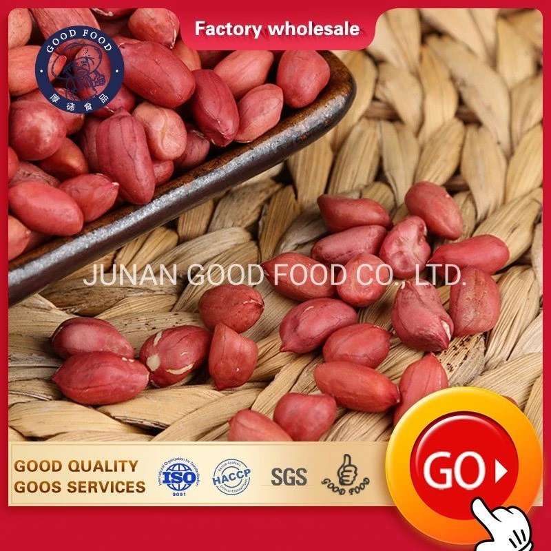 Ex-Factory Price Bulk Raw Organic Factory Price Red Skin Kernels Peanut