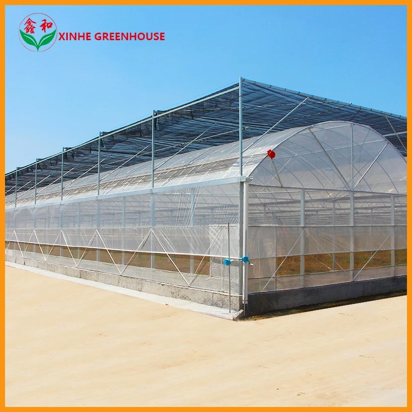 Plastic Film Agriculture Green Houses for Tomatoes and Flowers