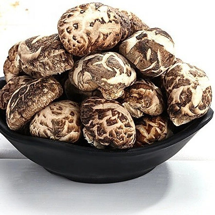 Dried Shiitake Mushroom, Dry Mushroom Tea Flower Supplier