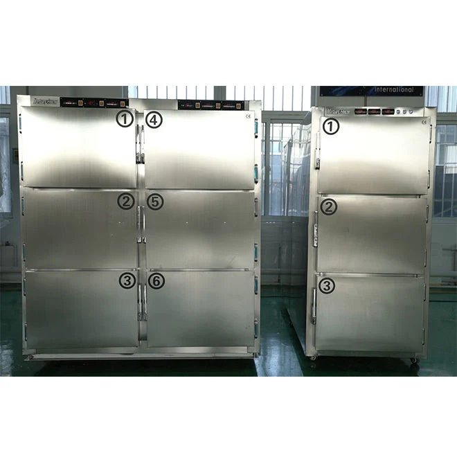 6-Body Mortuary Body Refrigerator, Medical Mortuary Freezer Price