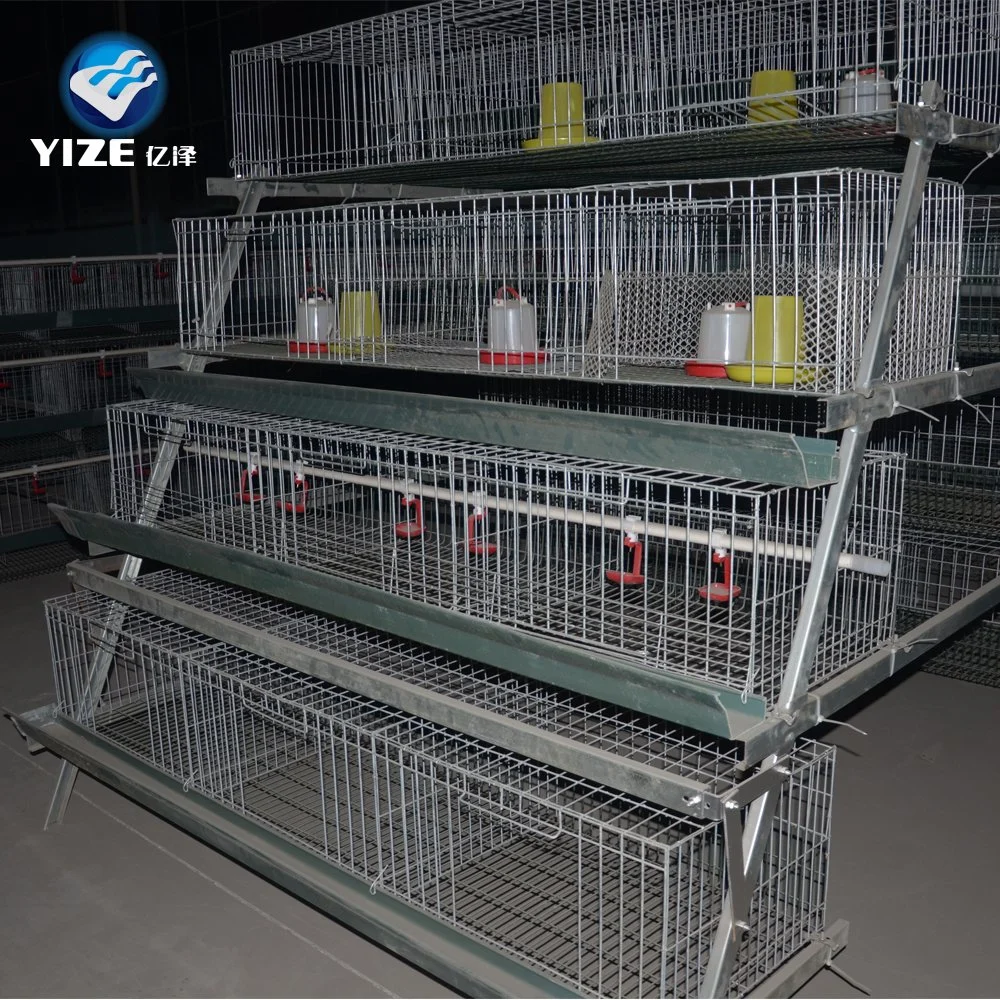 Hot DIP Galvanized Chicken Laying Breeding Cage