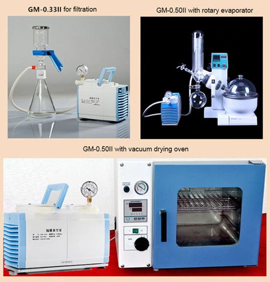 Lab Clean Oill Free Vacuum Pump with Wholesale/Supplier Price (20L/Min)