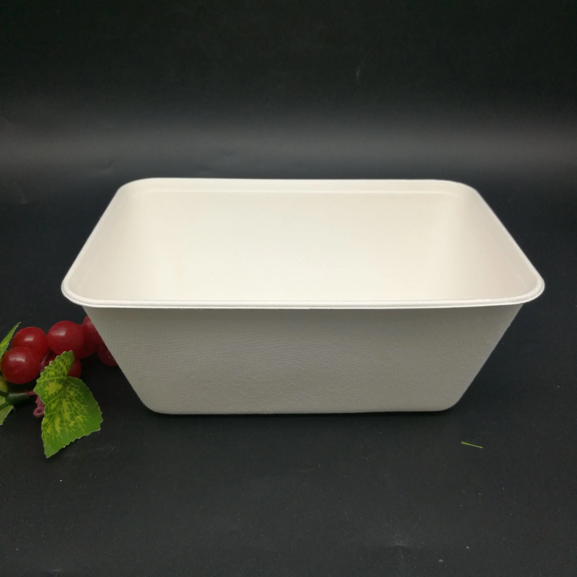 Biodegradable Compostable Paper Tableware Bagasse/500ml Sugarcane Food Box/Food Container