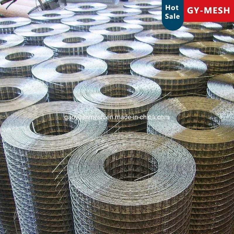 Metal Welded Wire Mesh 2" X 2" Welded Mesh Panel for Aminal Zoo Mesh Protection