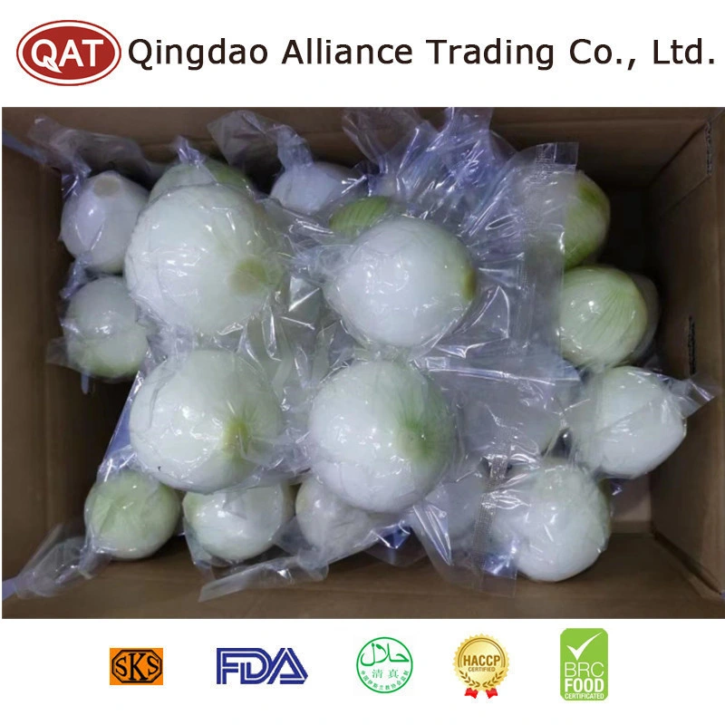 Global Hot Sale Fresh Raw Peeled Onion Ball Green White Onion with 10kgs or 20kgs Bulk Carton