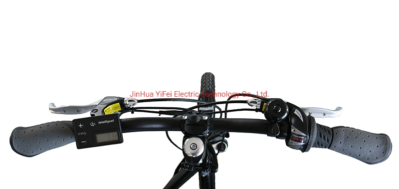 TUV CE Approval Electric Lady Bike Snow Ebike Electric Bicycle
