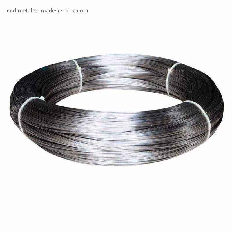 Stainless Steel Spring Wire Special Shaped Stainless Steel Profile Wire