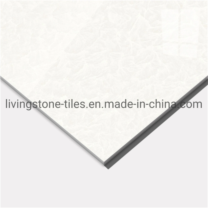 600*600mm Iceberg Snow Lotus Series Matt Finish Building Material Floor Cement Hotel Tile