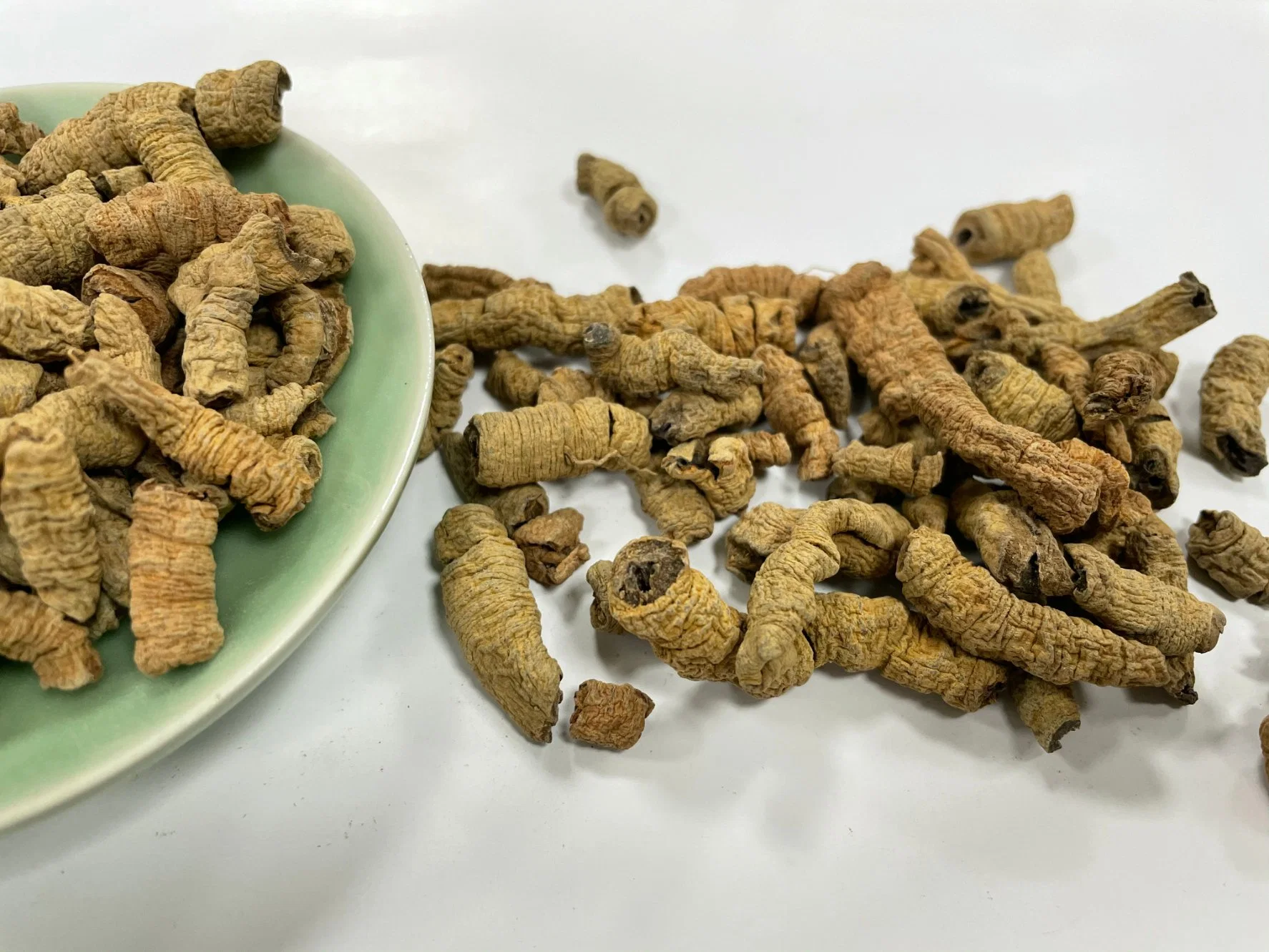 Bajitian Morindae Officinalis Radix Morinda Officinalis ervas tradicionais chinesas de alta qualidade