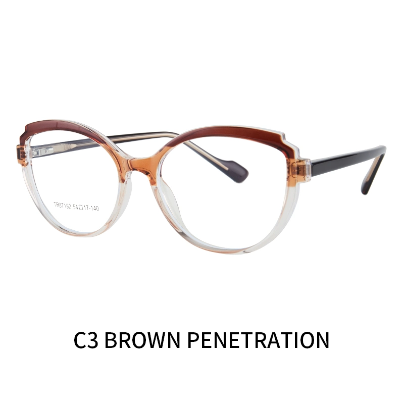 Tr87192 2023 Fresh New Model China Fashion Style Black High quality/High cost performance  Tr90 Optical Frame Anti Blue Eyeglasses