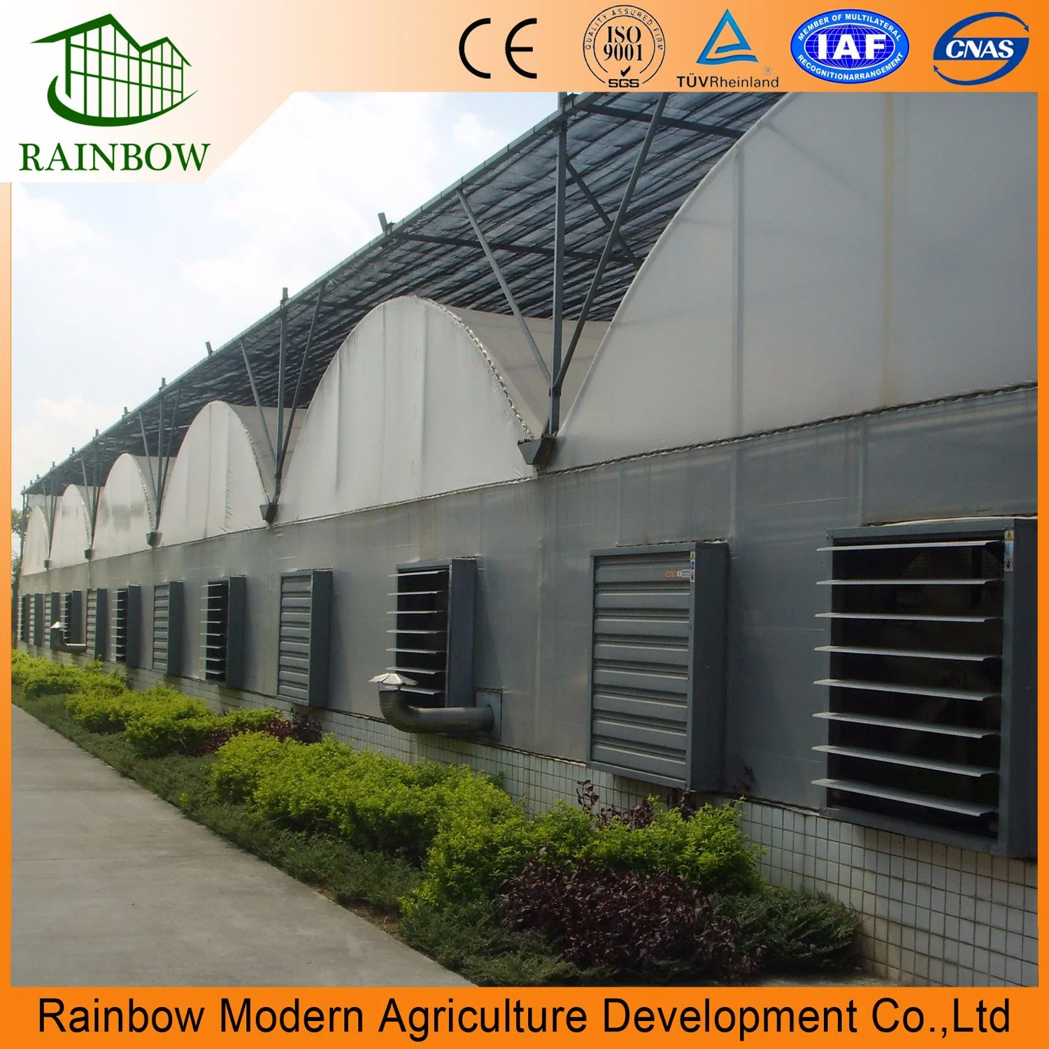 Modern Rainbow Design Multi-Span Po Film Greenhouse