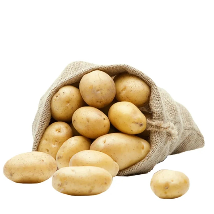 Fresh New Crop Potato From China