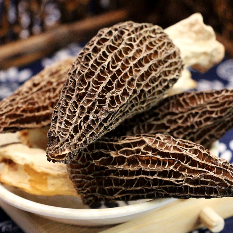 Venta caliente natural puro de alta calidad de alimentos orgánicos Setas Deshidratadas Morels Morel