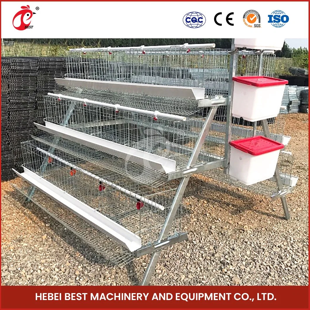 Bestchickencage a Type Layer Cage China Cute Chicken Layer Coop Factory High-Quality Furnished Cages for Laying Hens Configuration Chicken Cage Cover