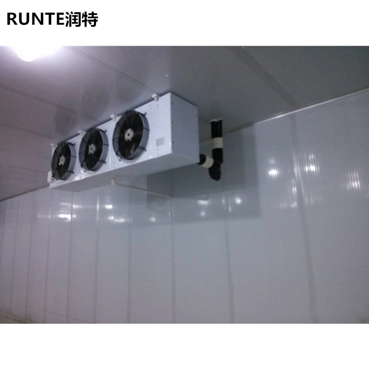 Cold Storage Cooling Chamber Refrigeration and Freezing Rooms