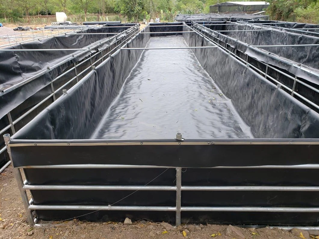 السمك 0.5مم مقاومة للماء الإربيان بتربية الأحياء المائية سمك الروبيان Pond HDPE Gembane سعر المادة