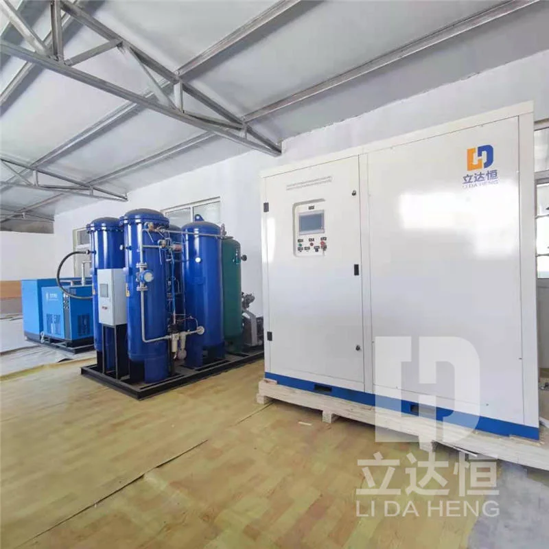 Ldhgas Skid Mounted Compact& High Purity Nitrogen Gas Equipment Nitrogen Generator Plant with CE&ISO Certificates