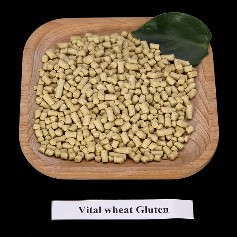 Vital Wheat Gluten for Animal Food