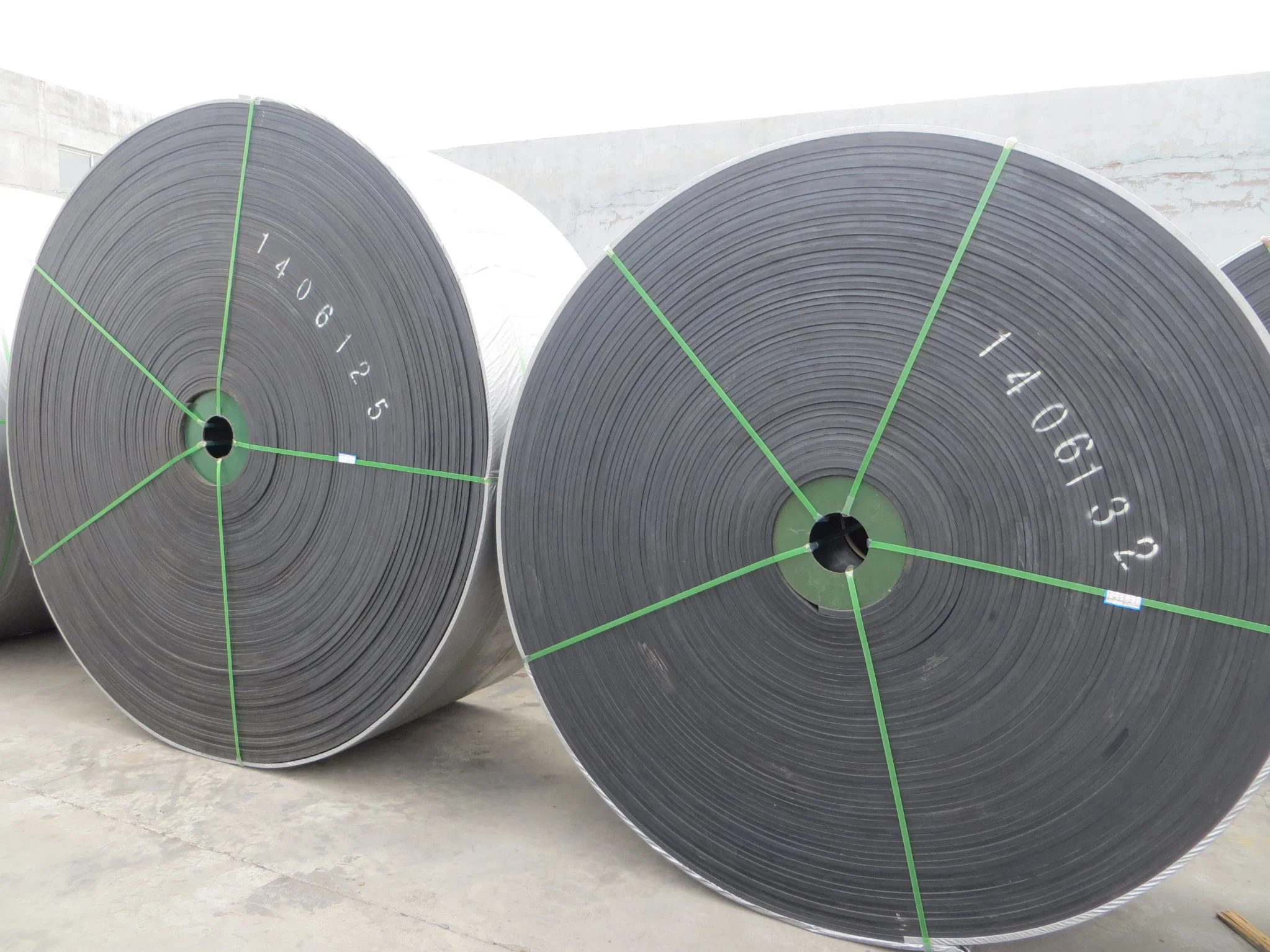 Moulded Edge Nn100-Nn600 Nylon Conveyor Belt