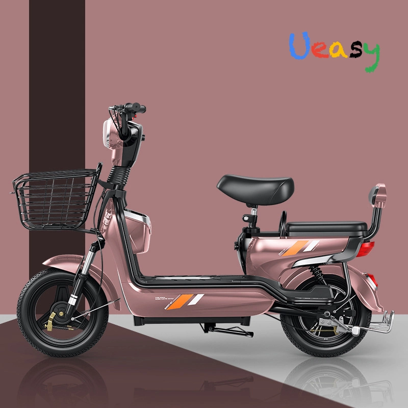 Wholesale/Supplier Buy Custom Fat Tire Brushless Electric Bike for Adult with CE