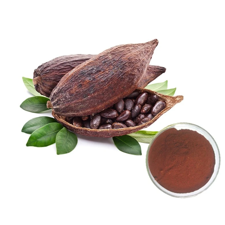 Manufacturer for Cocoa Powdered Extract