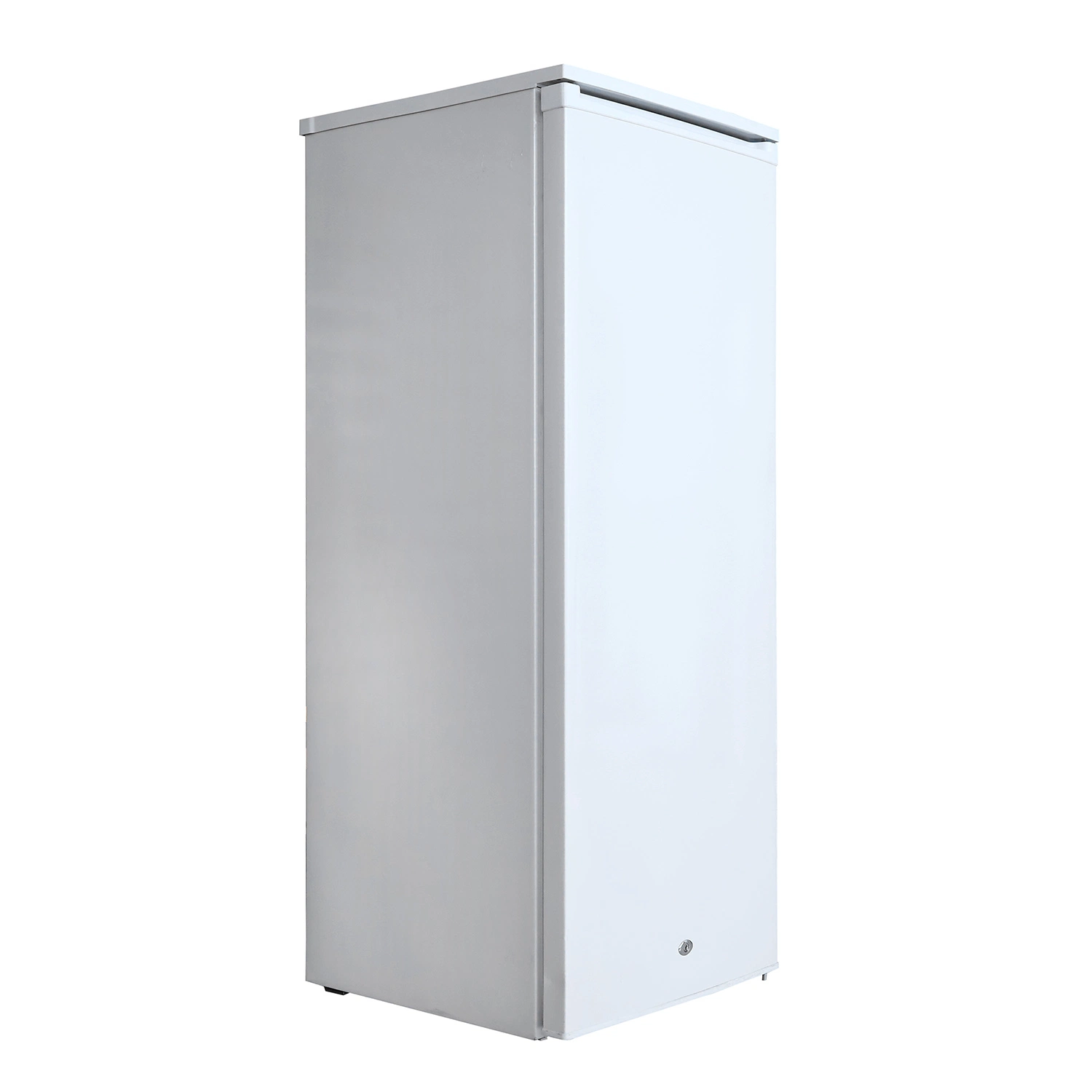 OEM/ODM12V/110V/220V Fan Refrigeration/PCM Stainless Steel/Glass Single-Door Vertical Refrigerator Freezer