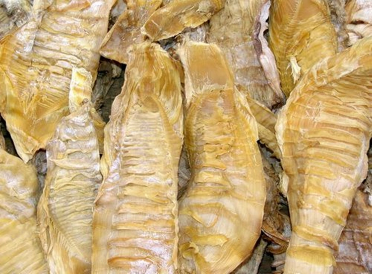 High quality/High cost performance  Health Food Natural Dried Bamboo Shoots Strips in China