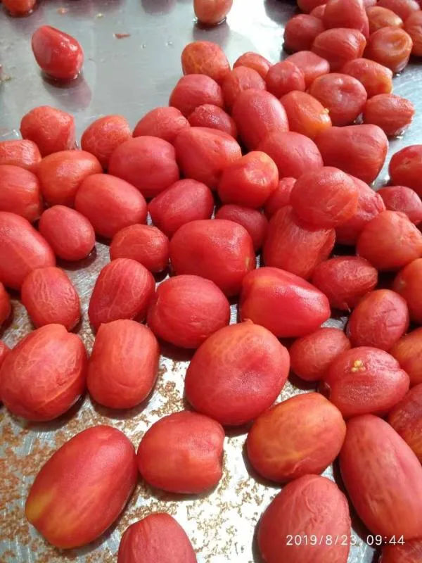 Dosen frisch geschälte Tomaten ganze in Tomatensaft Fabrik Preis