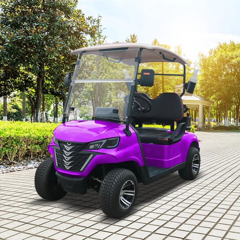 Nouveaux produits Nouveau Trend 2 Seater Forge G2 Golf électrique Voiturettes de golf Buggy