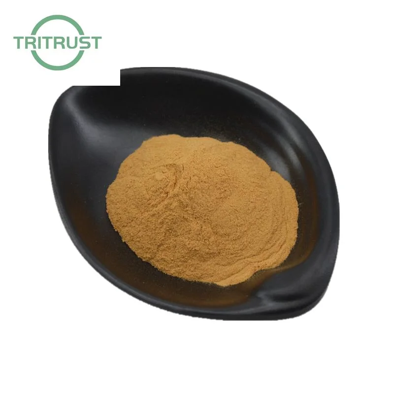 OEM Turkesterone Powder Muscle Building Ajuga Turkestanica Extract Powder 2% 10% Turkesterone Capsule CAS 41451-87-0